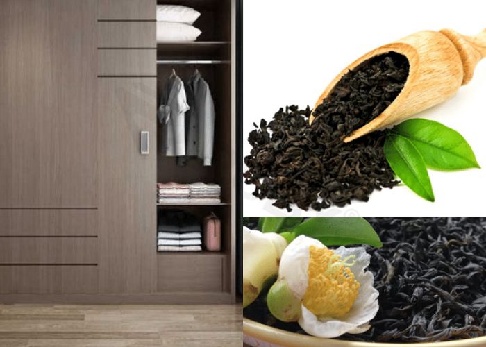 Cả tủ quần áo của bạn sẽ có hương thơm của trà rất dễ chịu